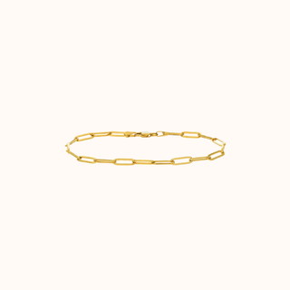 Paperclip Bracelet