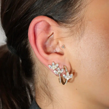 Marquise Cluster Studs