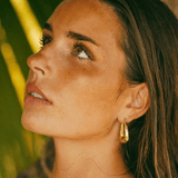 Trapeze Hoops